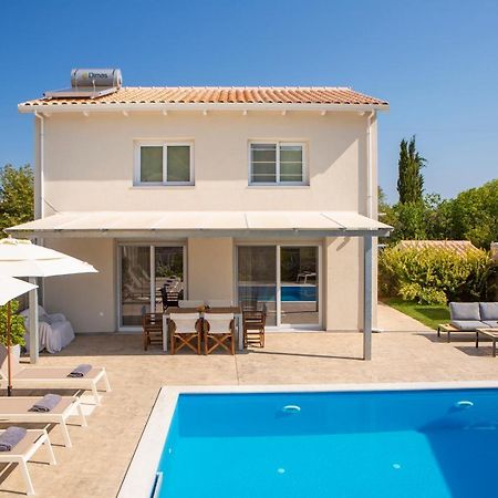 Grappolo Lefkada Villas - Vilana Ideal For Families And Small Groups Apolpaina المظهر الخارجي الصورة