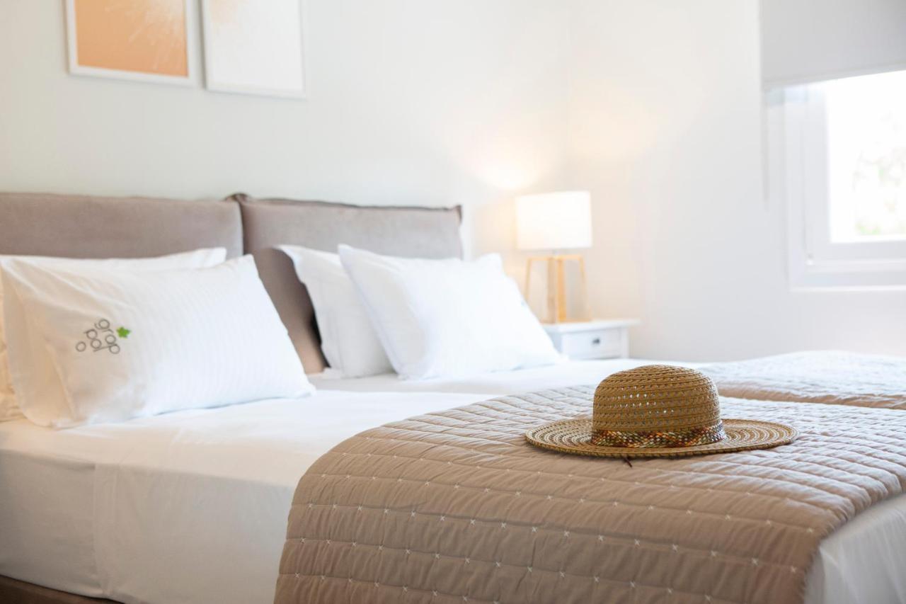 Grappolo Lefkada Villas - Vilana Ideal For Families And Small Groups Apolpaina المظهر الخارجي الصورة